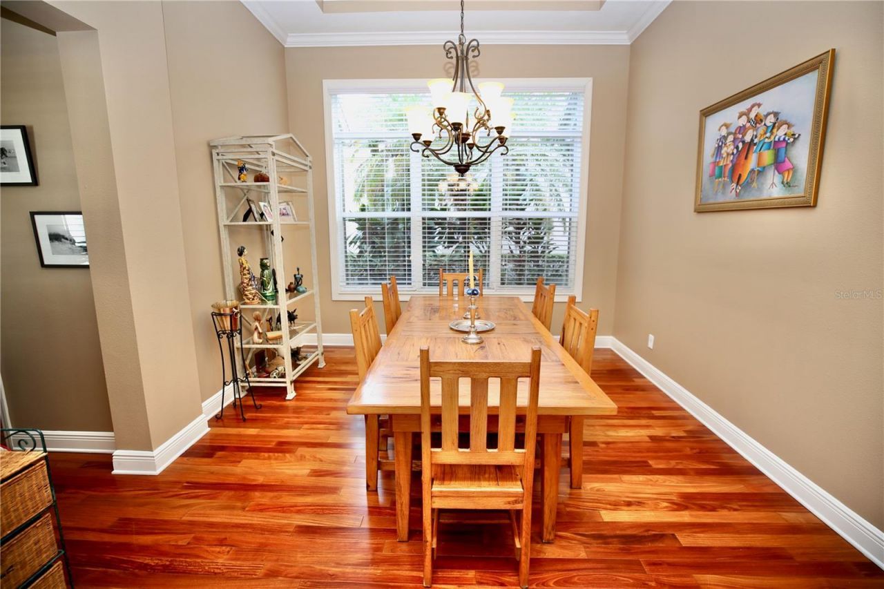 14824 Tudor Chase Drive, Tampa, FL 33626 Photo
