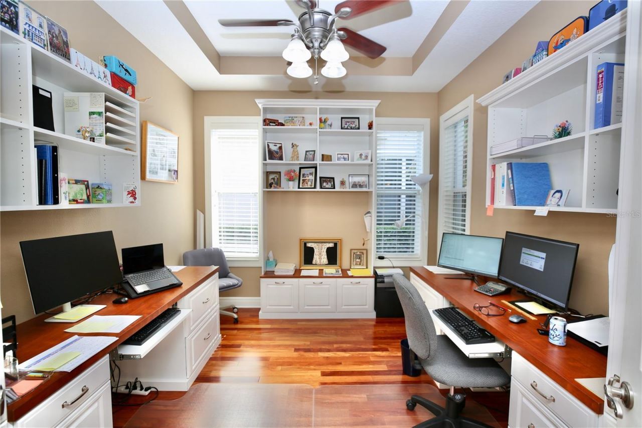 14824 Tudor Chase Drive, Tampa, FL 33626 Photo