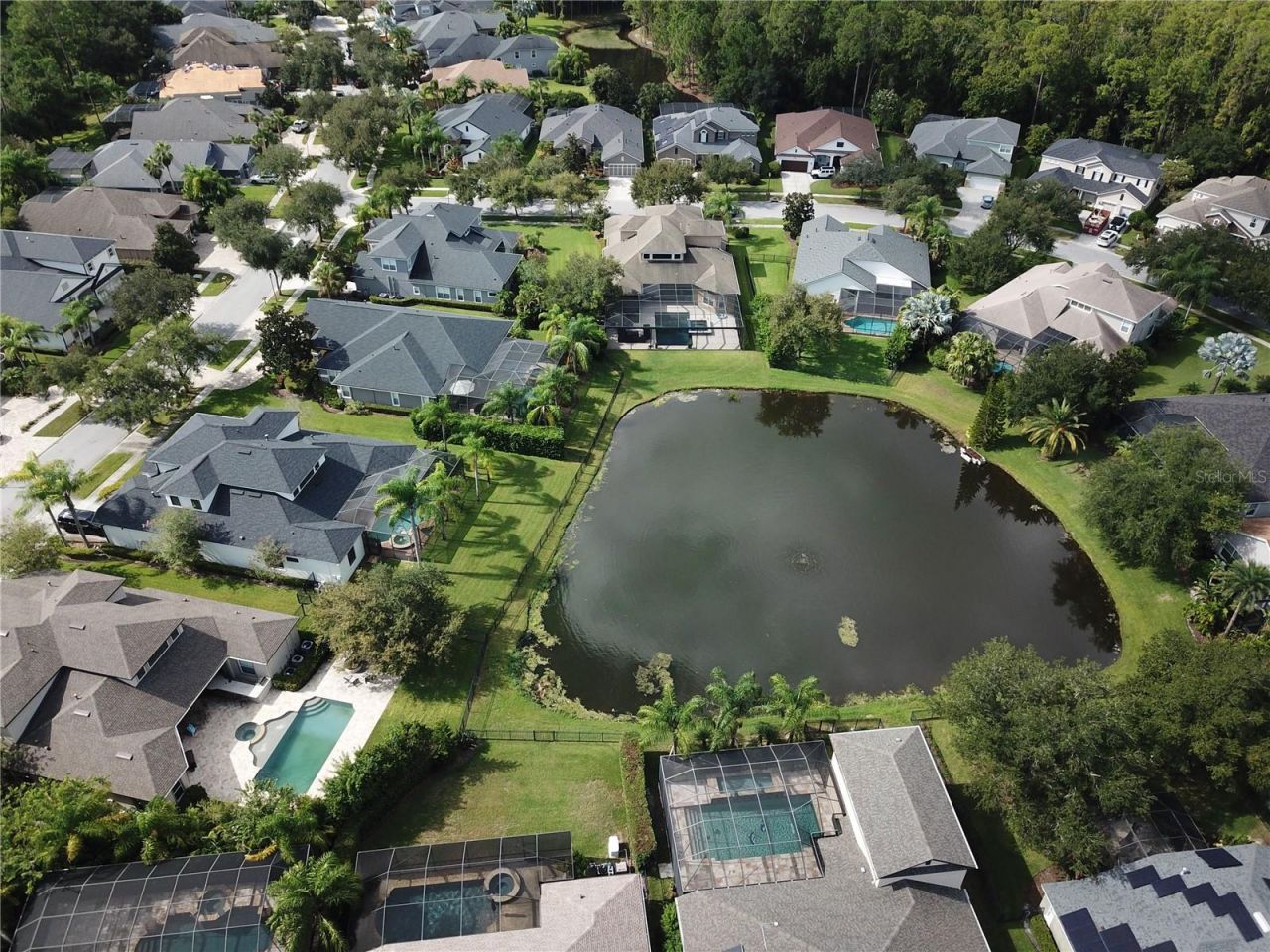 14824 Tudor Chase Drive, Tampa, FL 33626 Photo