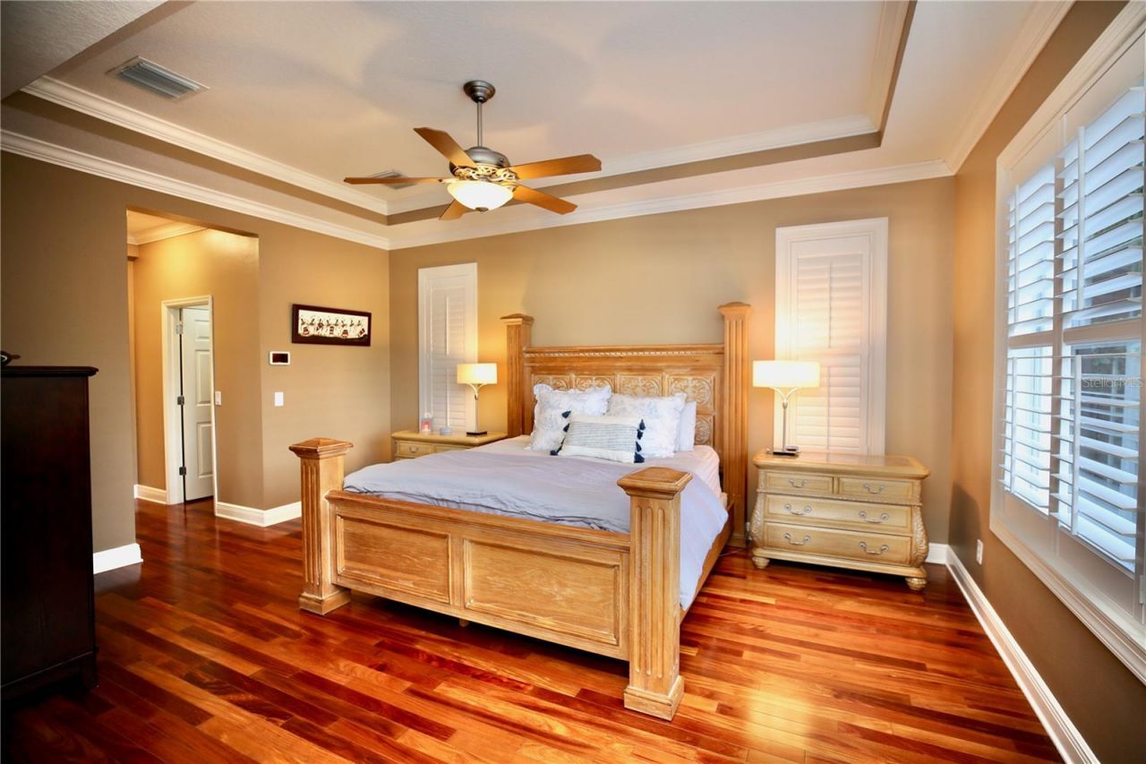 14824 Tudor Chase Drive, Tampa, FL 33626 Photo