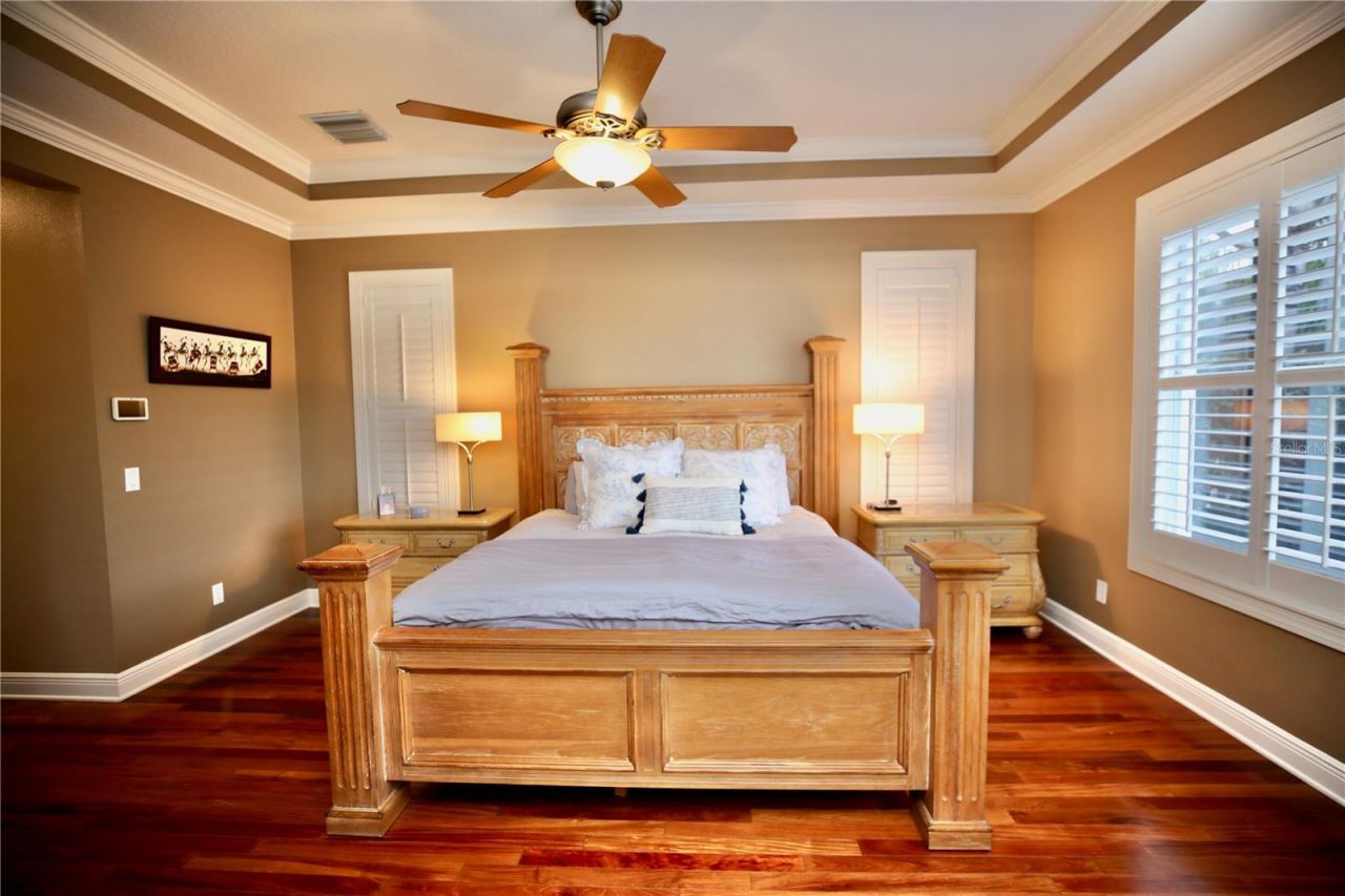 14824 Tudor Chase Drive, Tampa, FL 33626 Photo