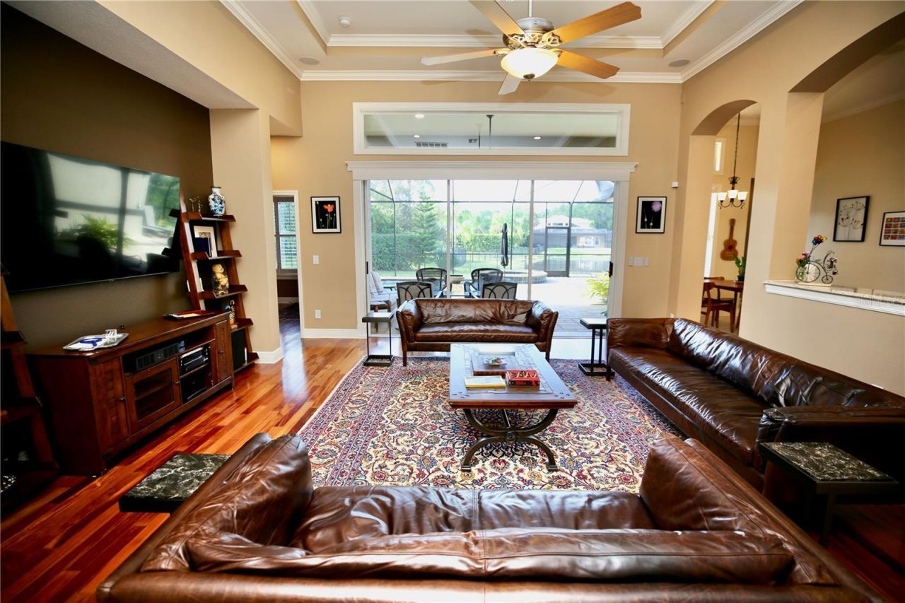 14824 Tudor Chase Drive, Tampa, FL 33626 Photo