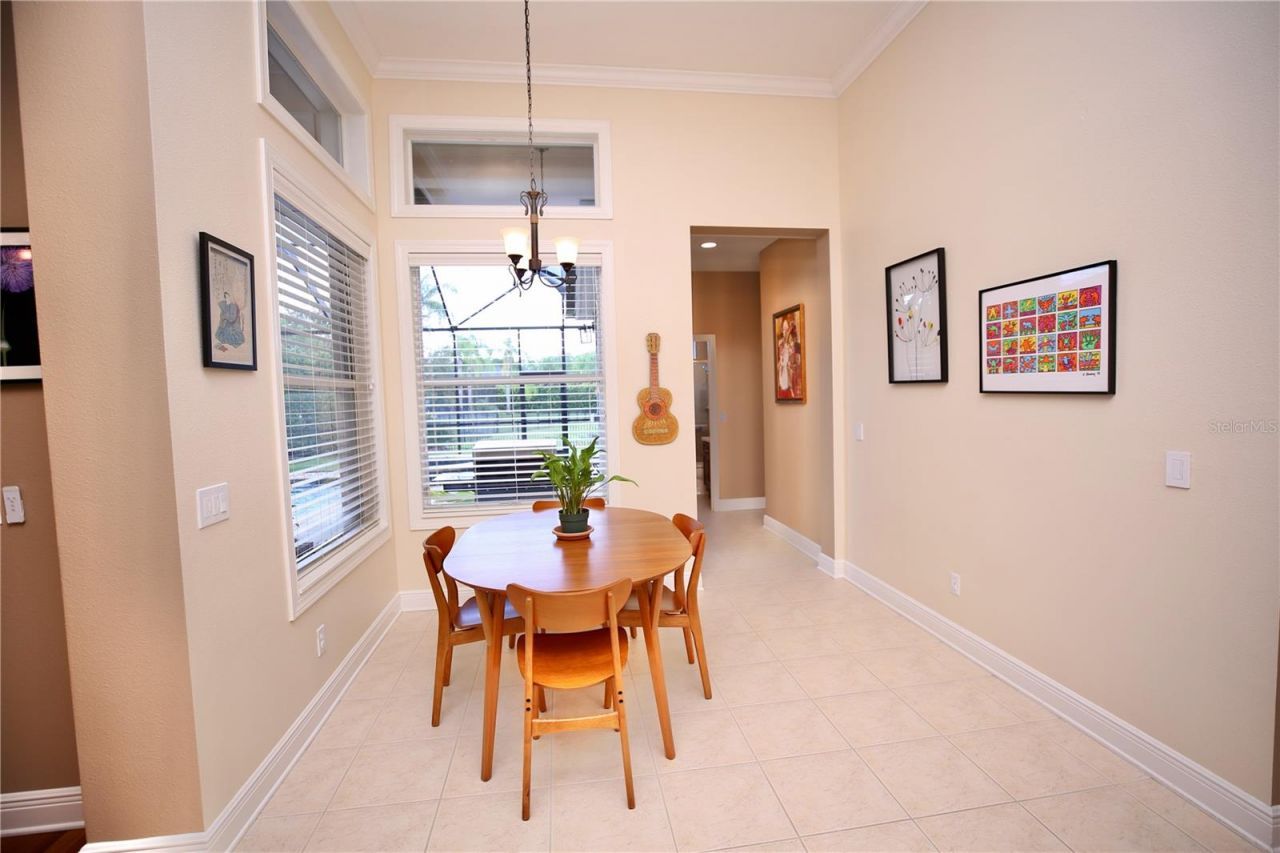 14824 Tudor Chase Drive, Tampa, FL 33626 Photo