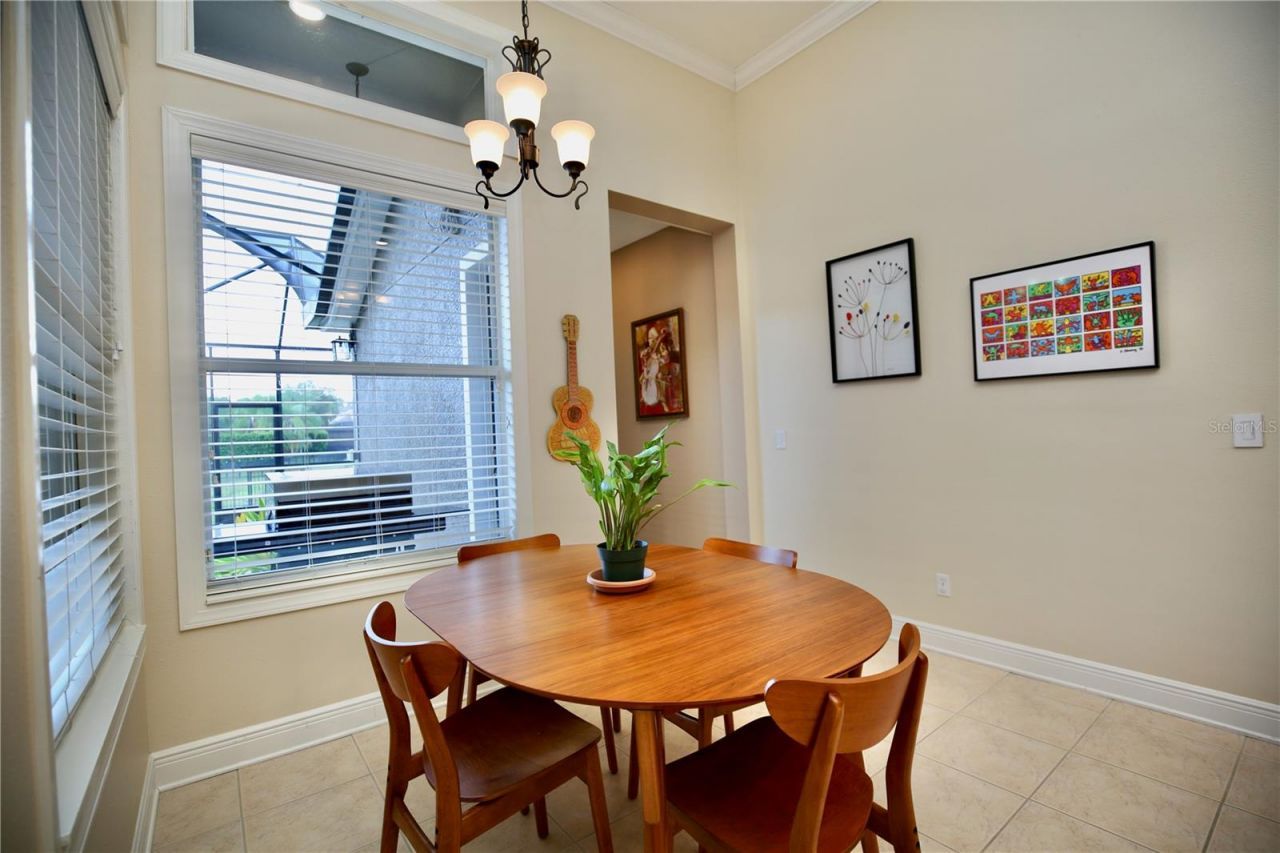 14824 Tudor Chase Drive, Tampa, FL 33626 Photo