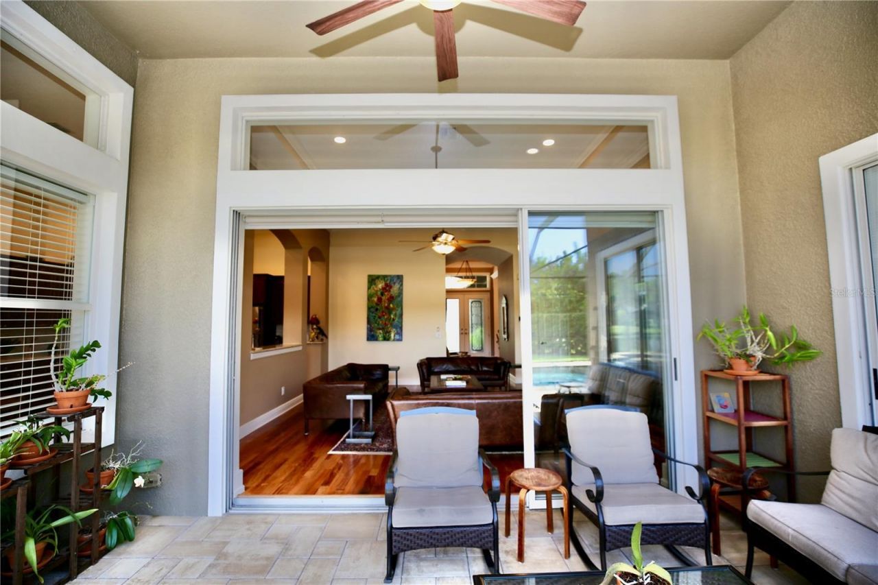 14824 Tudor Chase Drive, Tampa, FL 33626 Photo