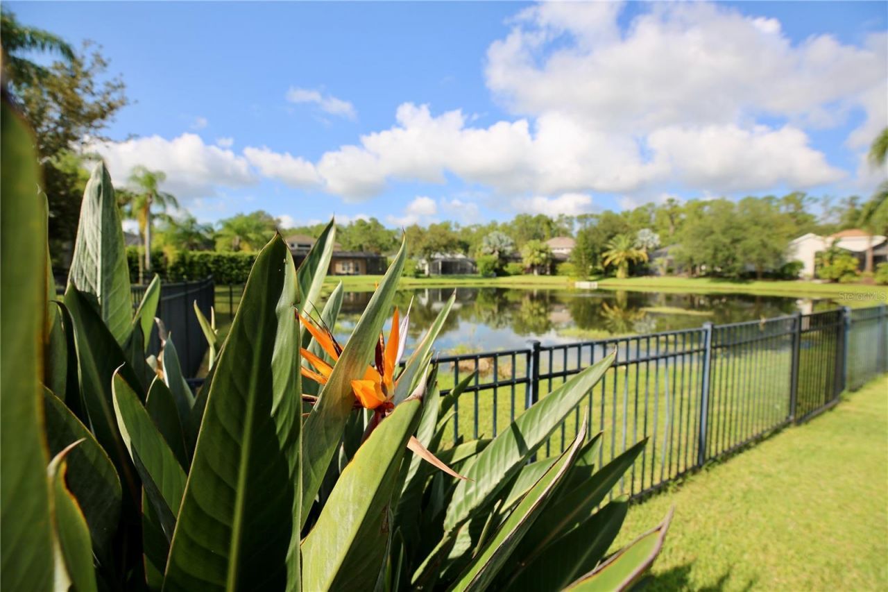 14824 Tudor Chase Drive, Tampa, FL 33626 Photo
