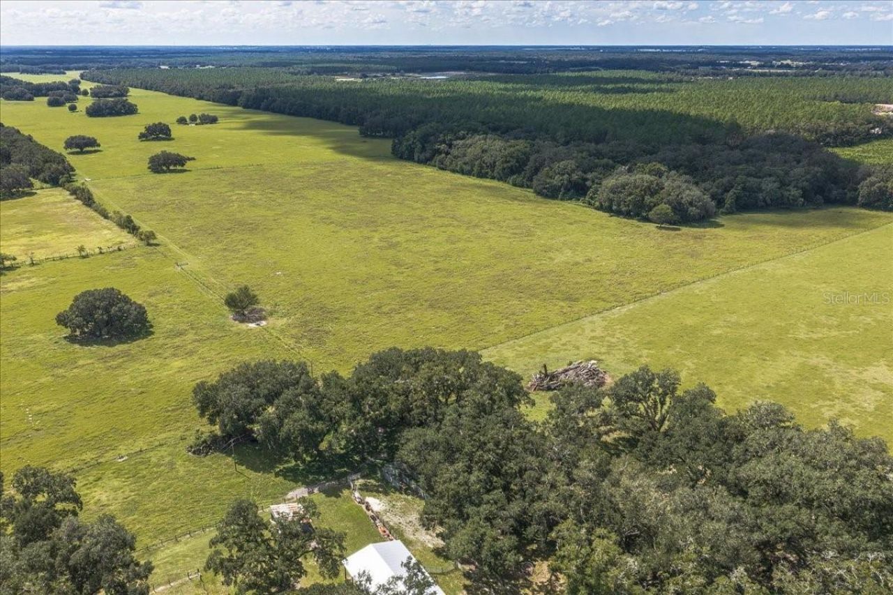 Se 215th Avenue , Morriston, FL 32668 Photo