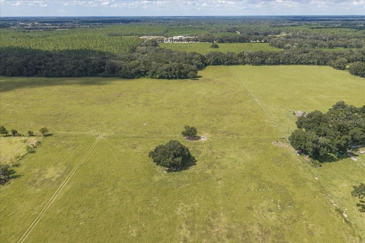 Se 215th Avenue , Morriston, FL 32668 Photo