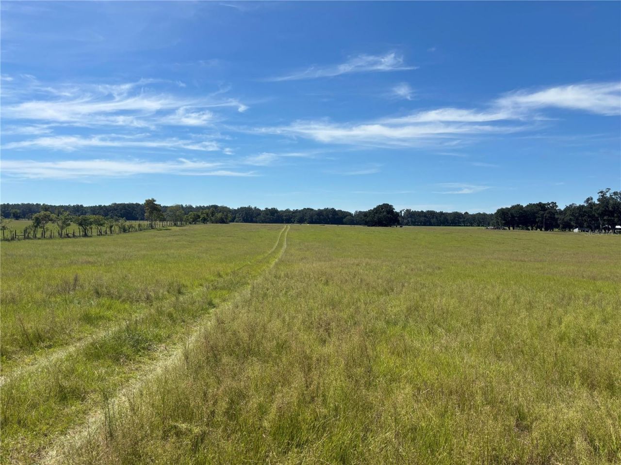 Se 215th Avenue , Morriston, FL 32668 Photo