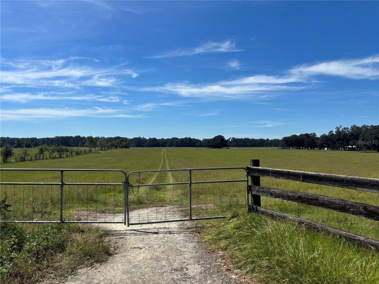 Se 215th Avenue , Morriston, FL 32668 Photo