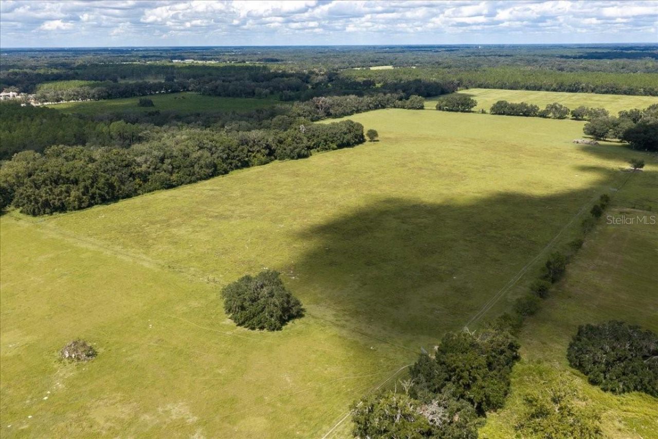 Se 215th Avenue , Morriston, FL 32668 Photo