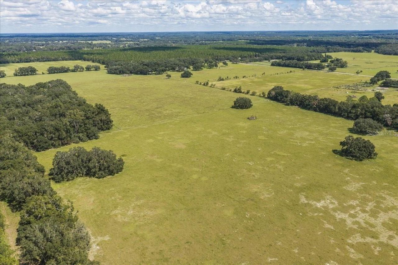 Se 215th Avenue , Morriston, FL 32668 Photo