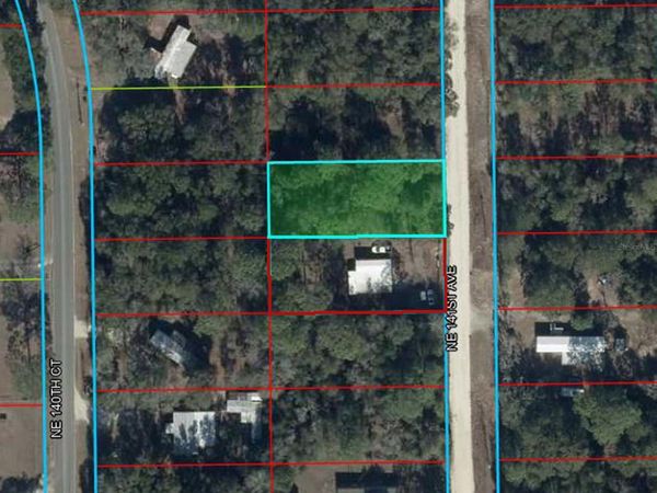 0000 NE 141ST AVENUE , WILLISTON, FL 32696