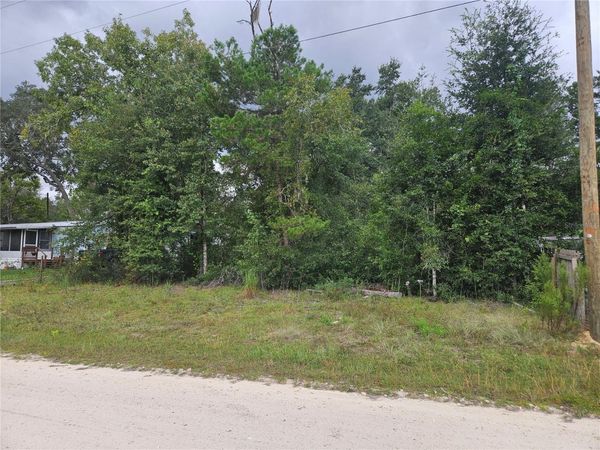 0000 NE 141ST AVENUE , WILLISTON, FL 32696