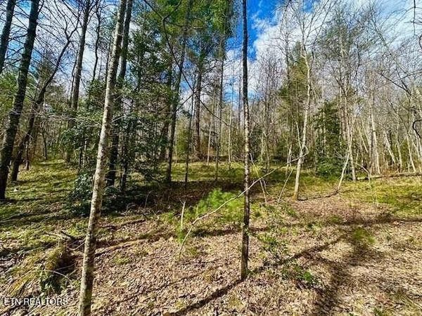 144 Gunter Place Rd, Sunbright, TN 37872