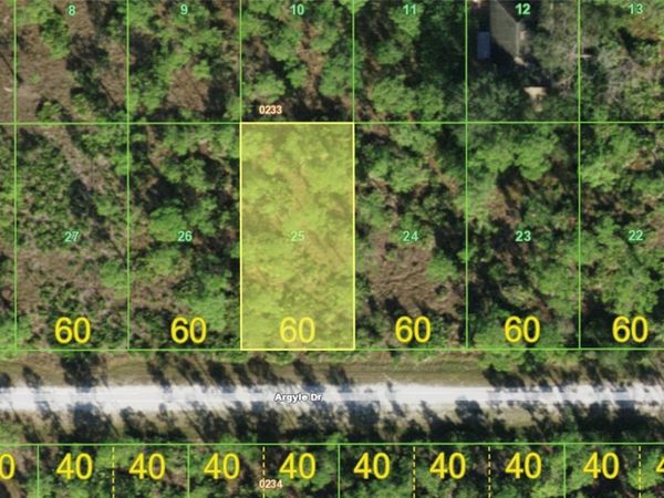 28060 ARGYLE DRIVE , PUNTA GORDA, FL 33955