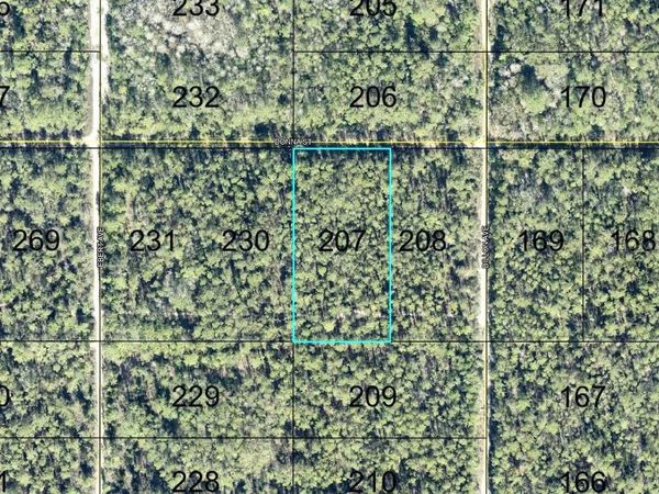 207 DONNA STREET , HASTINGS, FL 32145