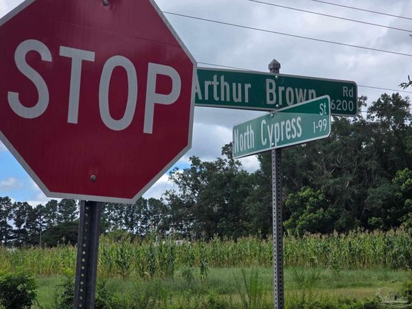 6200 Arthur Brown Rd, Mcdavid, FL 32568