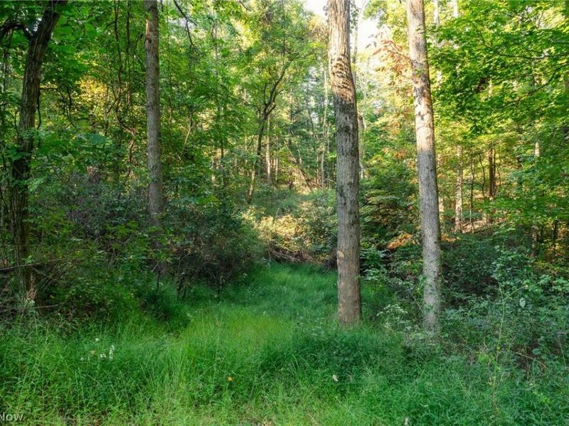 10772 Lawndell Road SW, Unit 6, Navarre, OH 44608 Photo 16