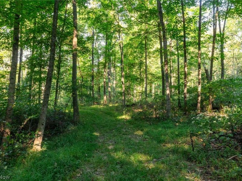 10772 Lawndell Road SW, Unit 6, Navarre, OH 44608 Photo 19
