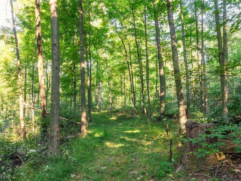 10772 Lawndell Road SW, Unit 6, Navarre, OH 44608 Photo 20