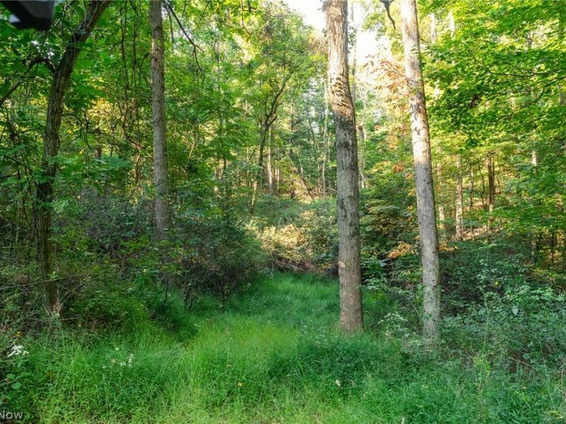 10772 Lawndell Road SW, Unit 6, Navarre, OH 44608 Photo 6