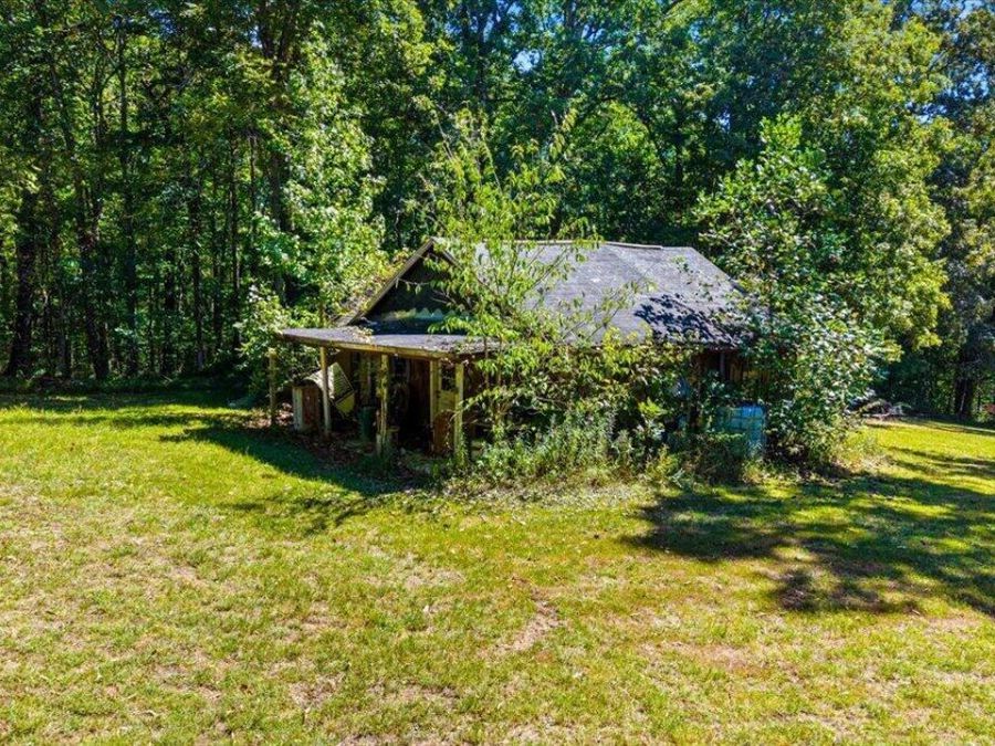 Property Image 49