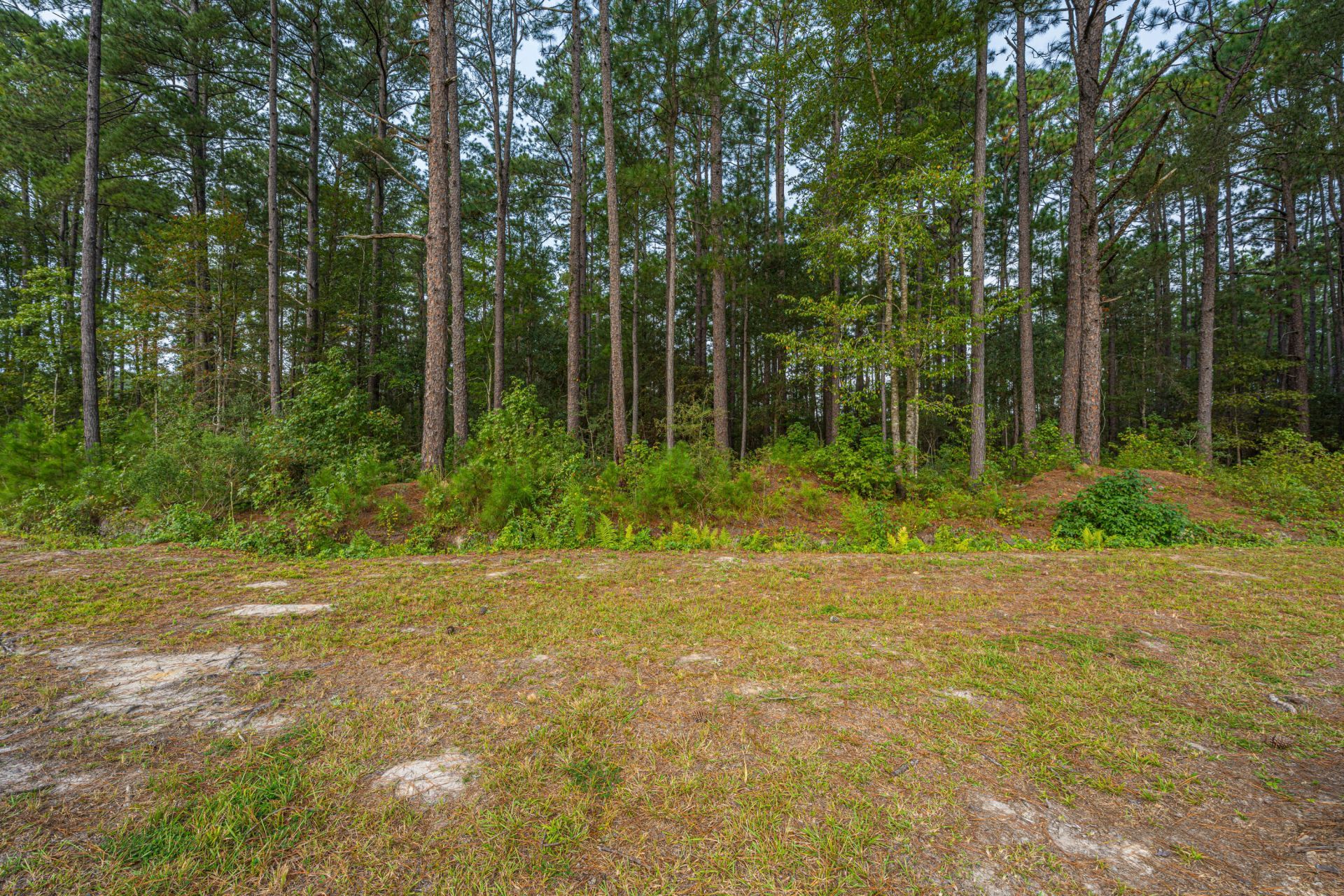 1288 Carter Road Photo 55