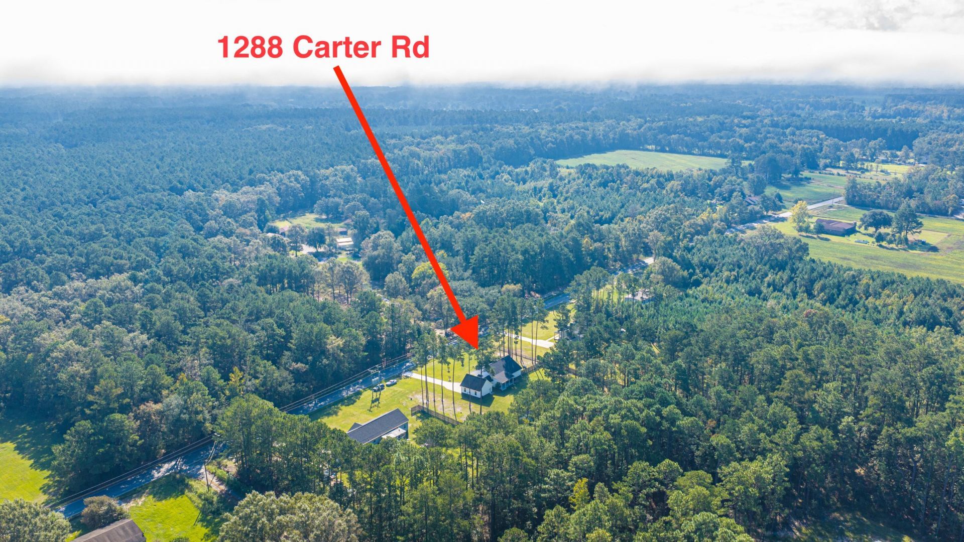 1288 Carter Road Photo 87