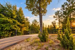 7068 Cameron Road photo 4