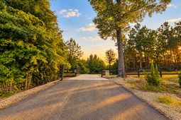 7068 Cameron Road photo 4