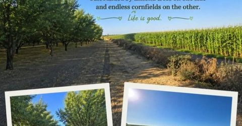 13955 W Walnut Grove Rd #26, Walnut Grove, CA 95690 Photo
