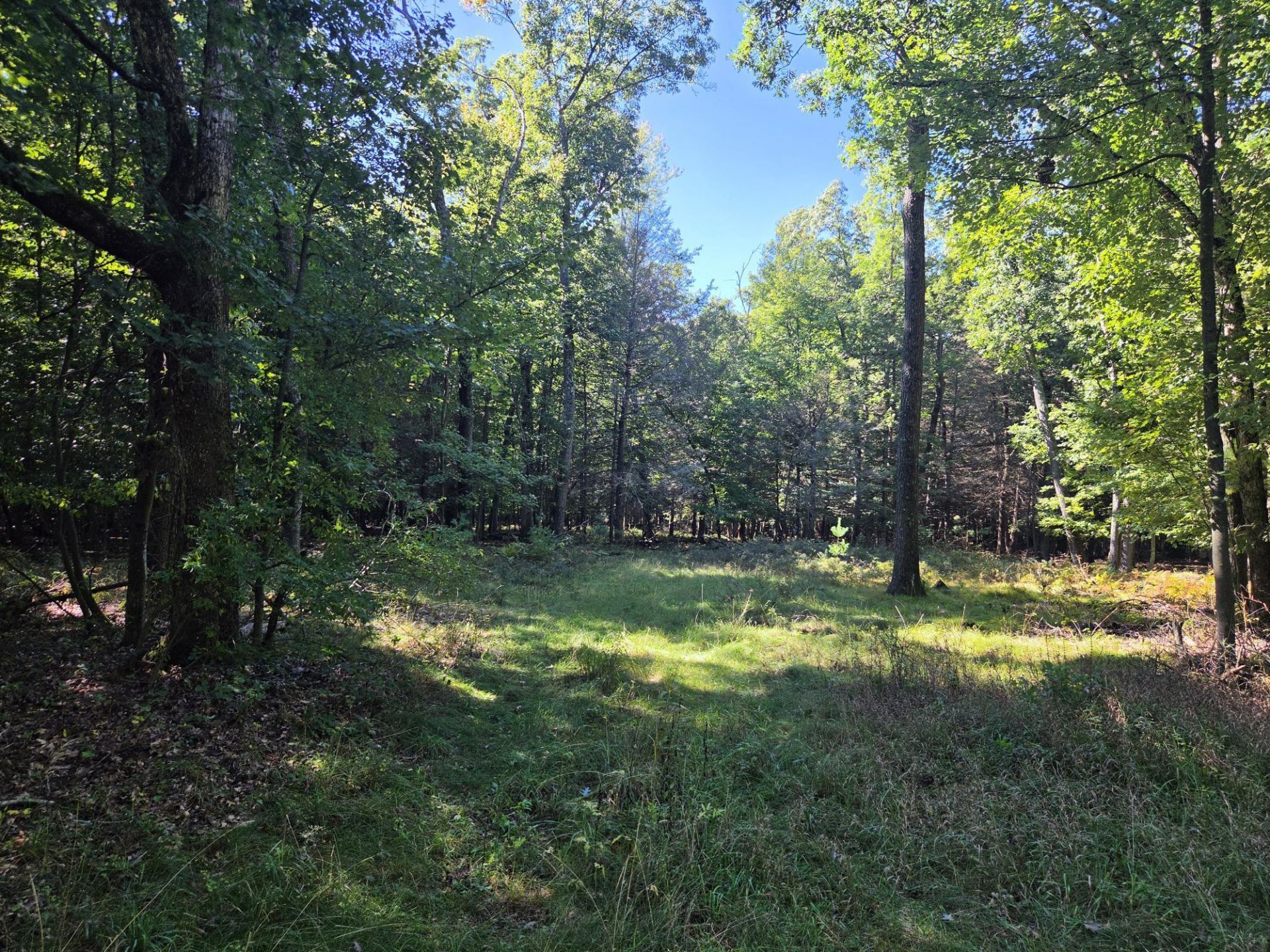 Vl Indian Bay Road, Lot #11.5 Acres, Montague, MI 49437 Main Photo