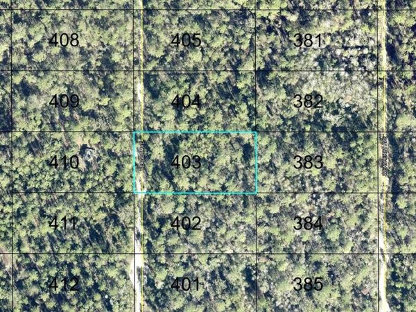 403 YEAGER AVENUE , HASTINGS, FL 32145