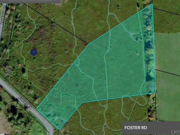 0 Foster Road, Homer, NY 13077