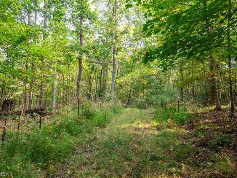 10772 Lawndell Road SW, Unit 7, Navarre, OH 44608 Photo 21