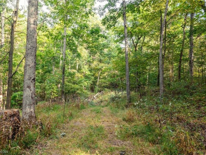 10772 Lawndell Road SW, Unit 7, Navarre, OH 44608 Photo 6
