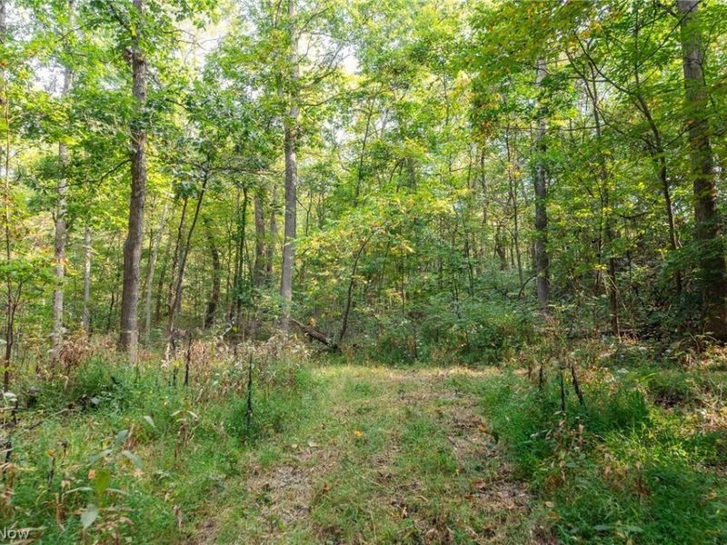 10772 Lawndell Road SW, Unit 7, Navarre, OH 44608 Photo 7