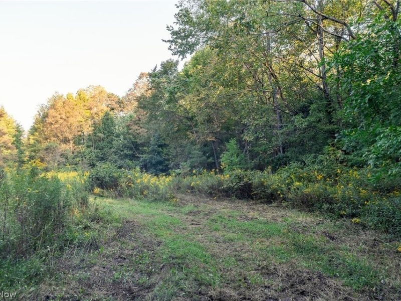 10772 Lawndell Road SW, Unit 7, Navarre, OH 44608 Photo 8