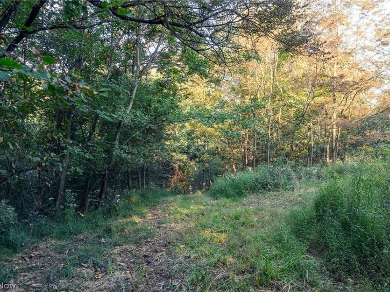 10772 Lawndell Road SW, Unit 7, Navarre, OH 44608 Photo 9