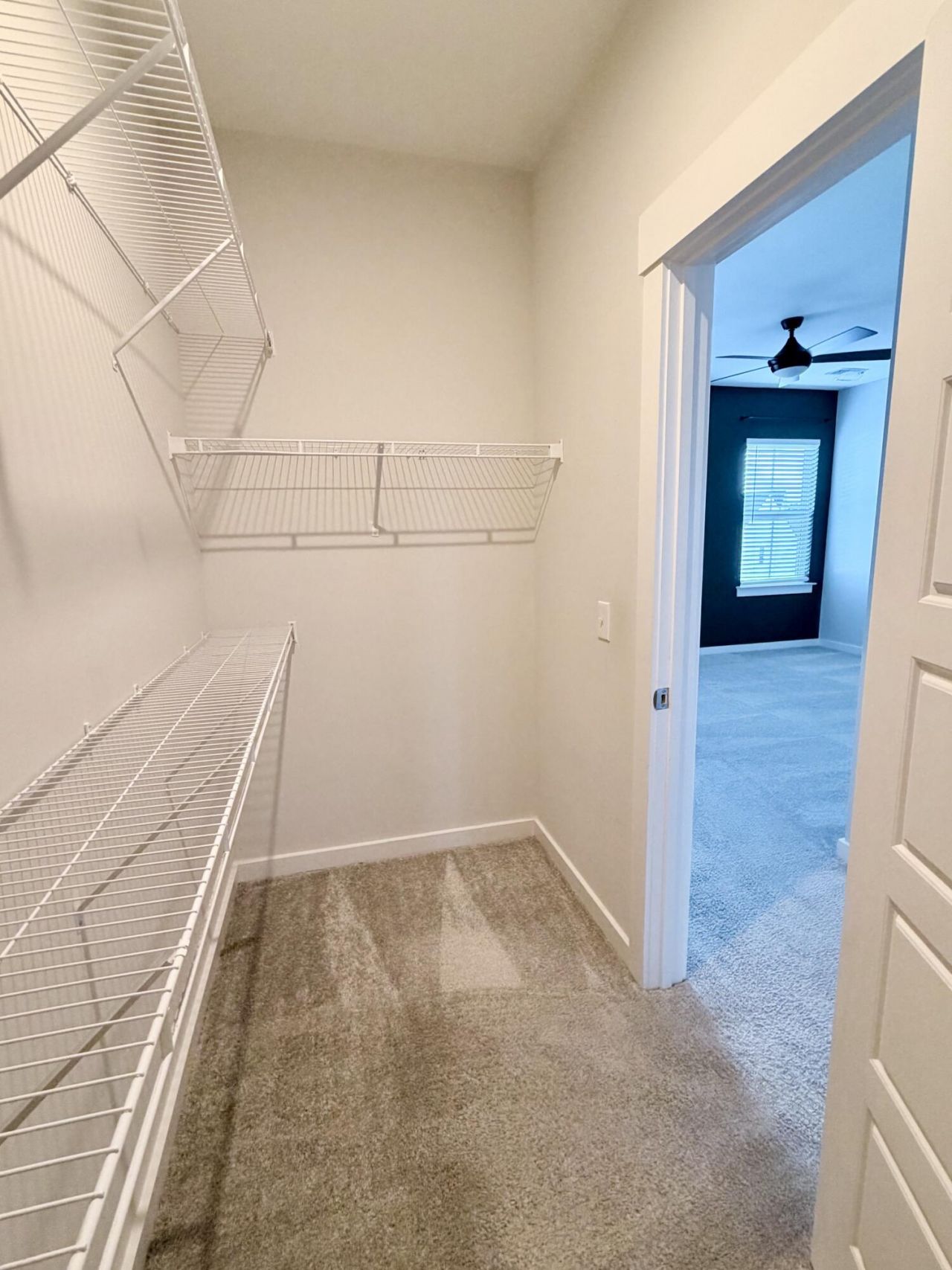 1668 Indy Drive Photo 28