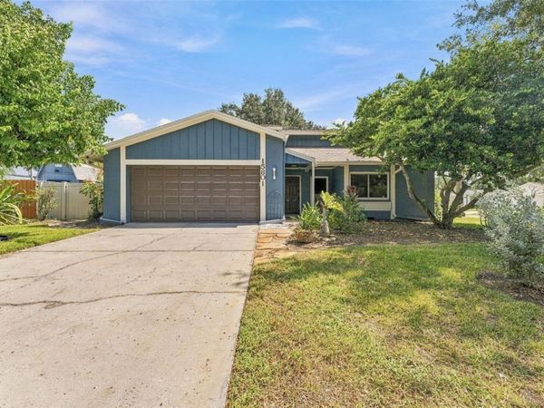 15801 COUNTRY LAKE DRIVE , TAMPA, FL 33624