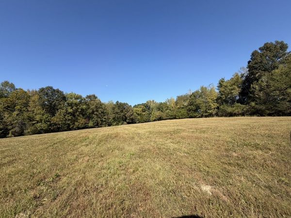 0 Davis Hollow Rd , Minor Hill, TN 38473