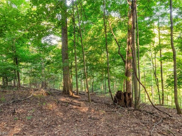 10772 Lawndell Road SW, Unit 8, Navarre, OH 44662
