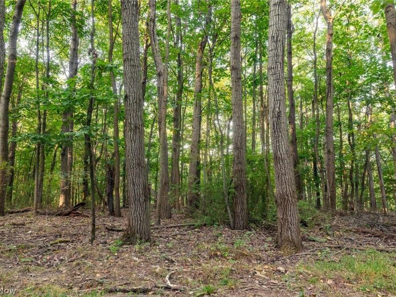 10772 Lawndell Road SW, Unit 8, Navarre, OH 44662 Photo 15
