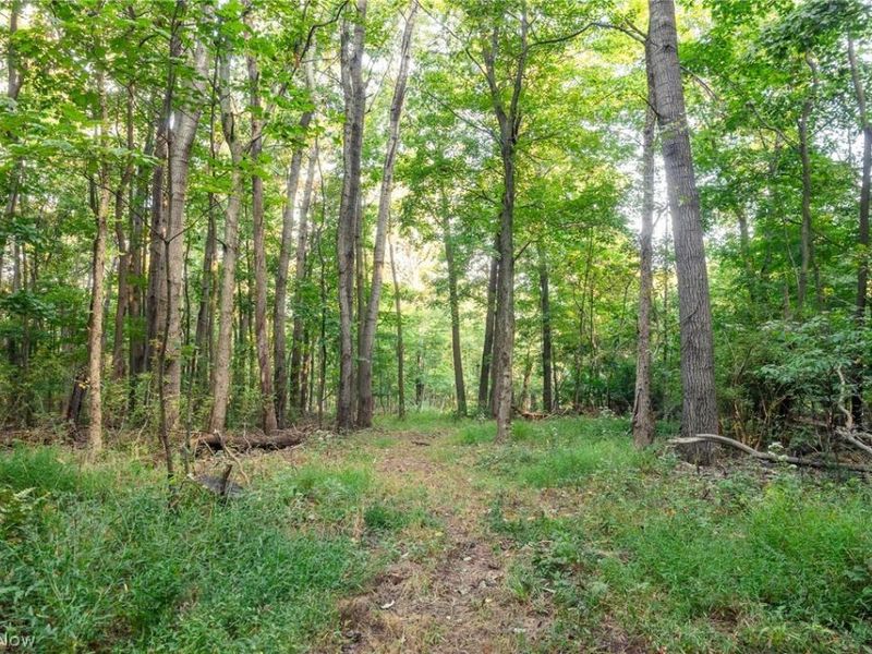 10772 Lawndell Road SW, Unit 8, Navarre, OH 44662 Photo 3