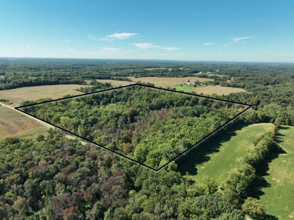 14666 Fedore Road, Buchanan, MI 49107