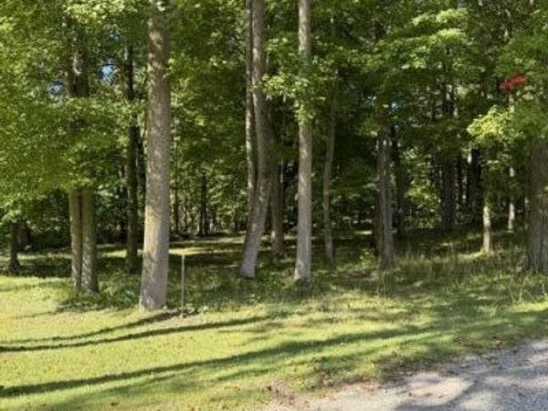 Timberlane Drive, Jones, MI 49061
