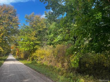 01 Nettney Road, Mussey Township, Mi 48014