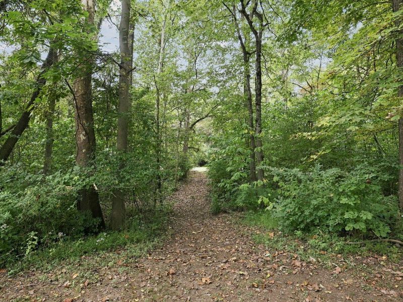 5342 Headleys Mill Road SW, Pataskala, OH 43062 Photo 84